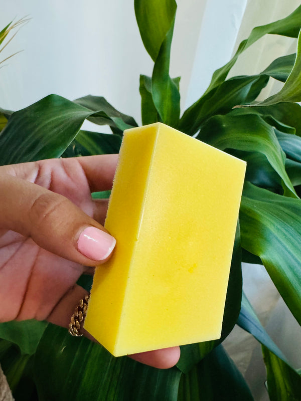 Coconut Citrus Soap